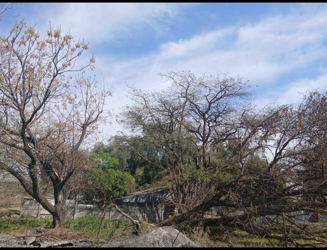 2.30HA FARM FOR SALE IN WATERKLOOF AH